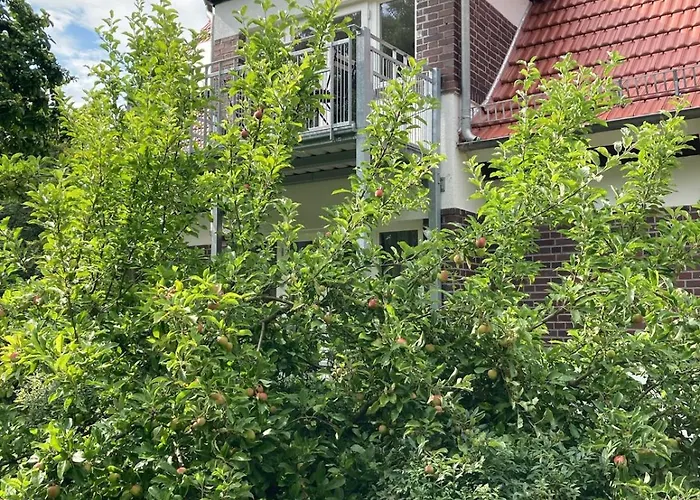 Forsthaus Wegenerskopf 10 Pers & Ruhe *